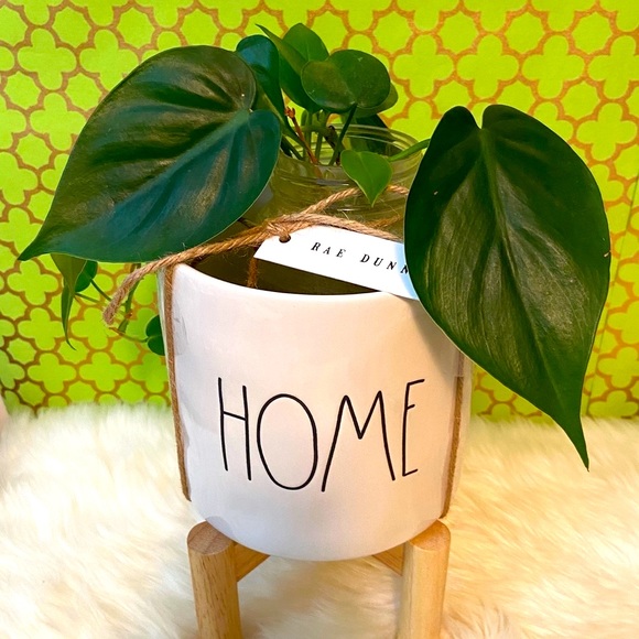 Rae Dunn HOME Planter On Wooden Stand Gift for Mom - Picture 2 of 7